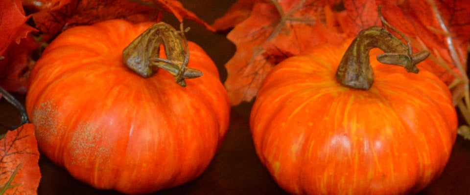 Pumpkin Bar Toffee | Limited Edition Fall Treat | Wellington Toffee

